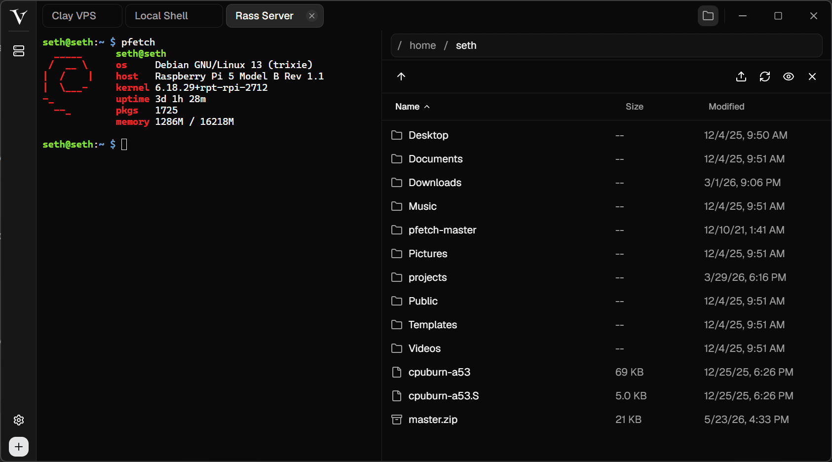 VShell terminal beside a remote file browser